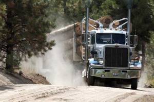 Грузовая новинка Bridgestone M863 выходит на рынок