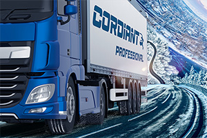 Бренд Cordiant выпустил сразу три новинки региональных грузовых шин